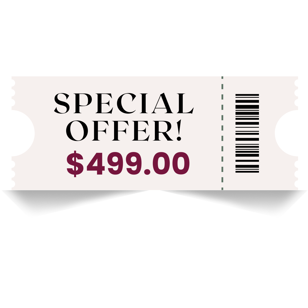 Step-by-Step Credit Fix DIY – Special Offer $499